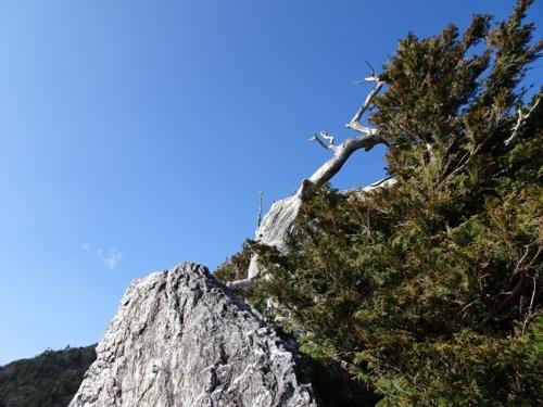 ドーム石山：美しい自然と歴史をつなぐ癒しの場
